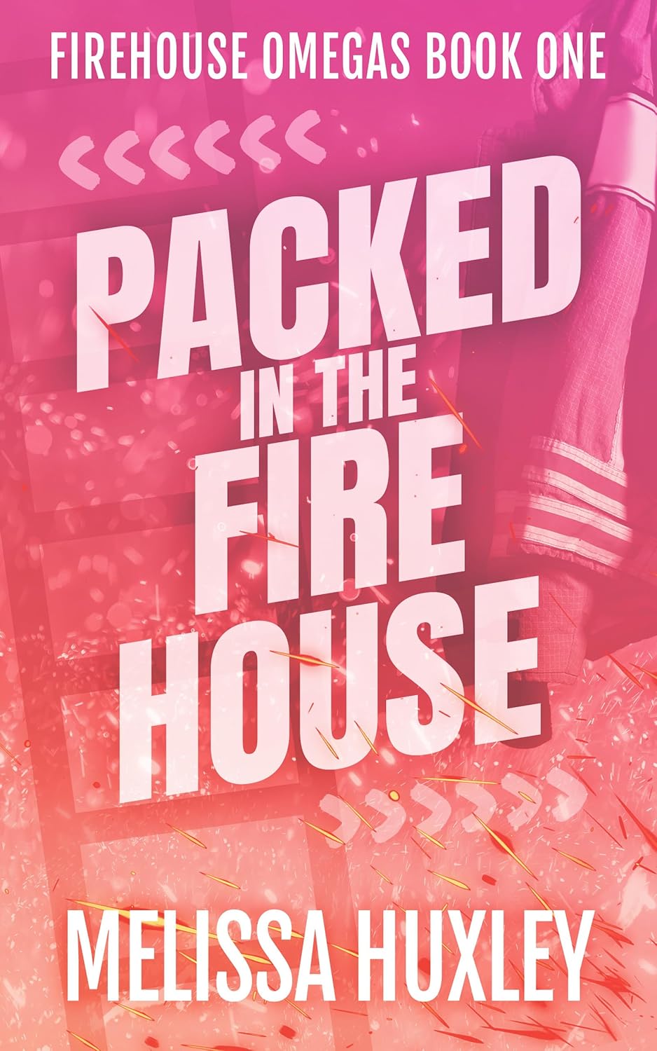 Packed-in-the-Firehouse-by-Melissa-Huxley-PDF-EPUB.jpg