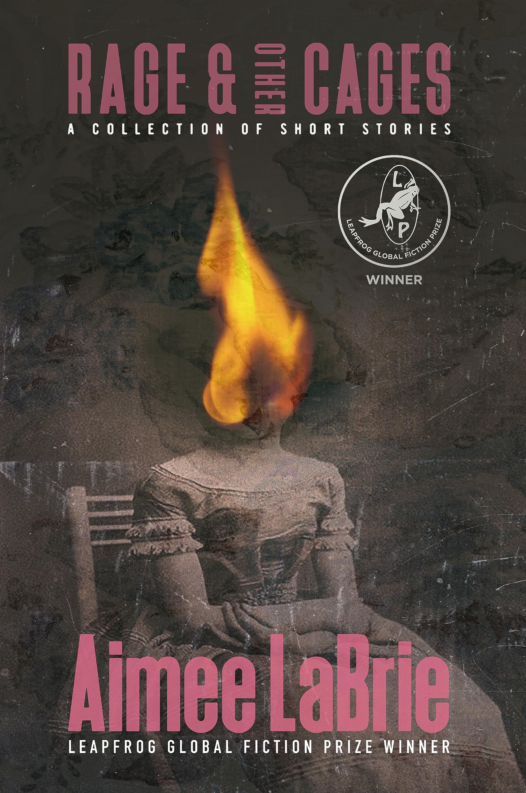 Rage-&-Other-Cages-by-Aimee-LaBrie-PDF-EPUB.jpg
