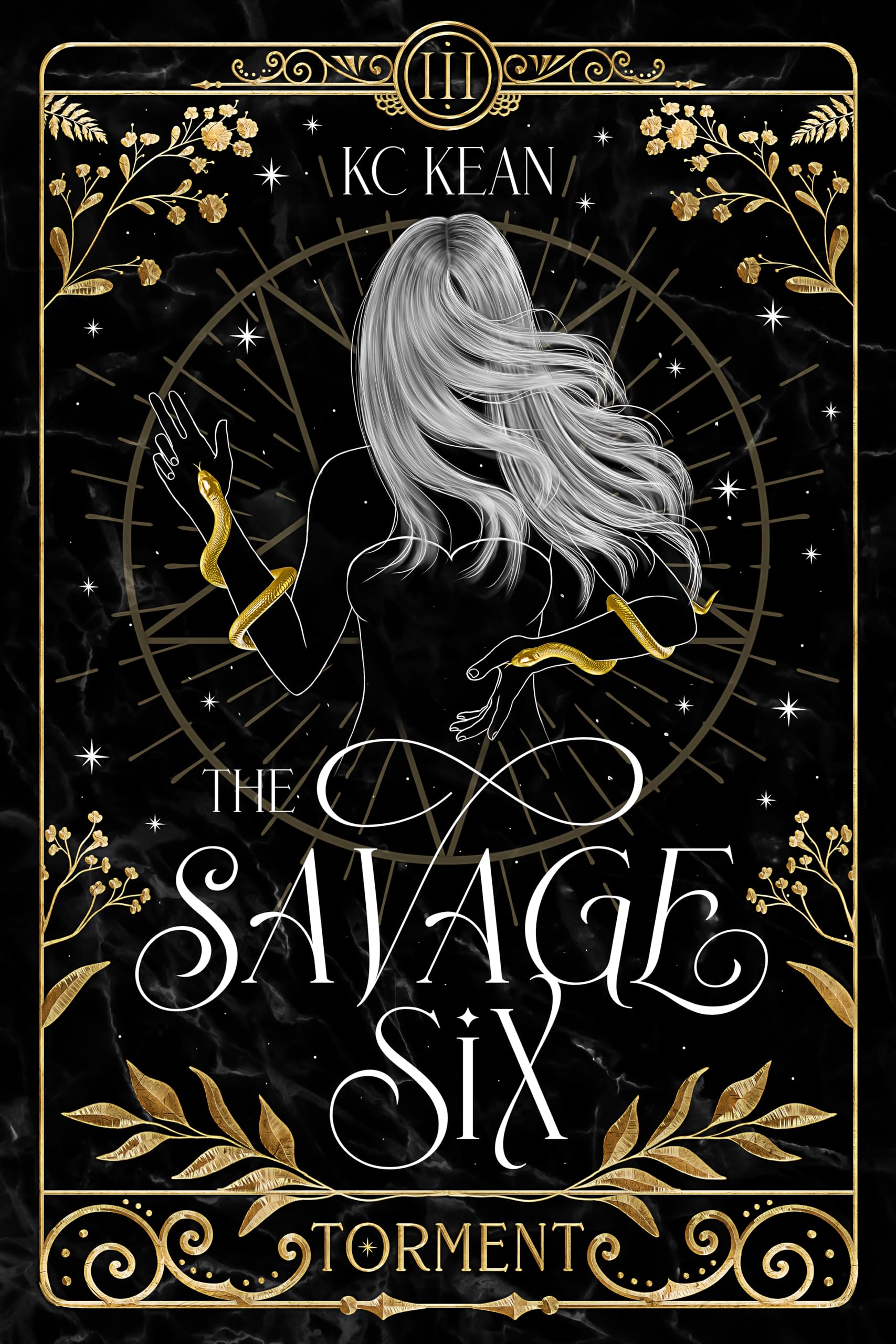 Savage-Torment-by-KC-Kean-PDF-EPUB.jpg
