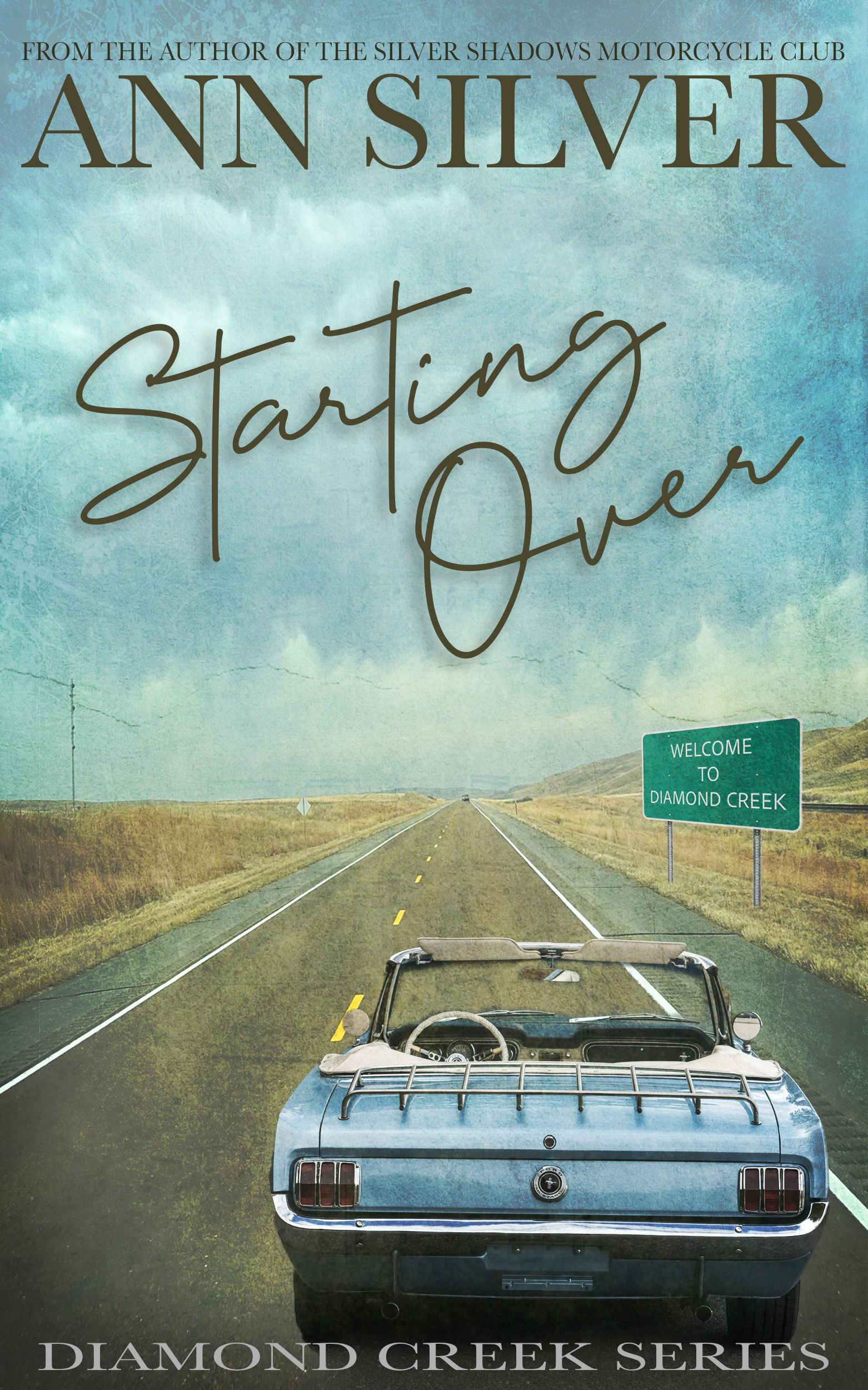 Starting-Over-by-Ann-Silver-PDF-EPUB.jpg
