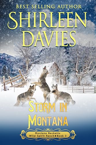 Storm-in-Montana-by-Shirleen-Davies-PDF-EPUB.jpg