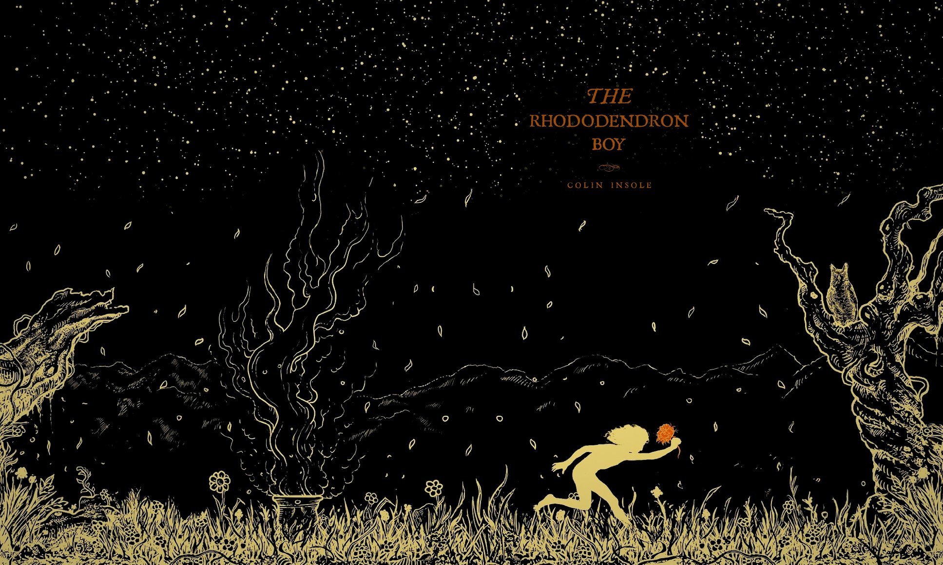 The-Rhododendron-Boy-by-Colin-Insole-PDF-EPUB.jpg