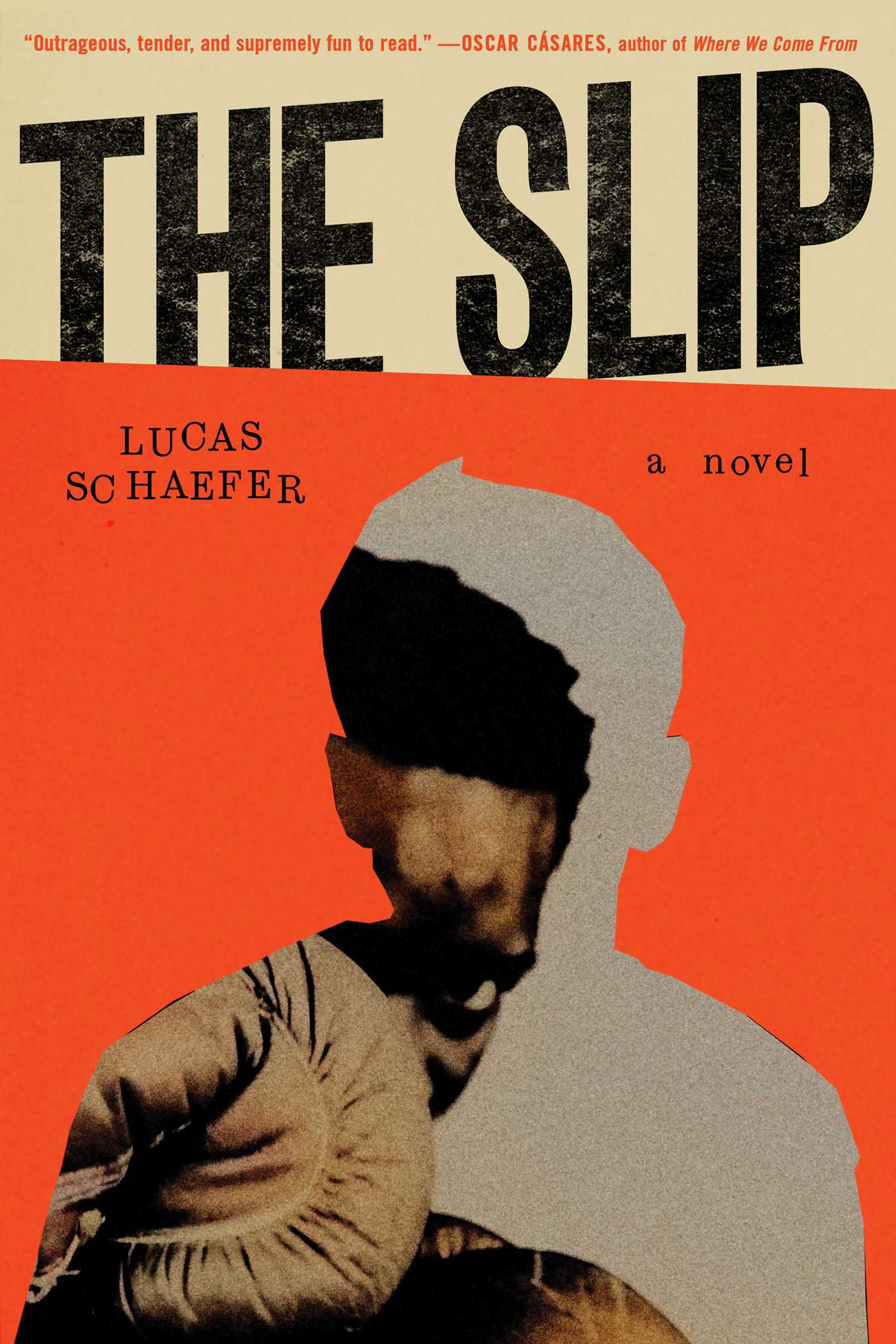 The-Slip-by-Lucas-Schaefer-PDF-EPUB.jpg