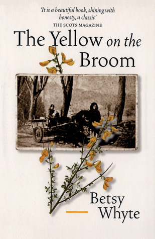 The-Yellow-on-the-Broom-by-Betsy-Whyte-PDF-EPUB.jpg