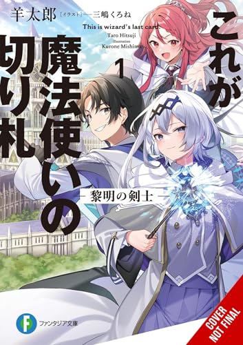 This-Is-the-Wizard-s-Secret-Weapon-Vol-1-(light-novel)--The-Dawn-Swordsman-(Volume-1)-by-Taro-Hitsuji-PDF-EPUB.jpg