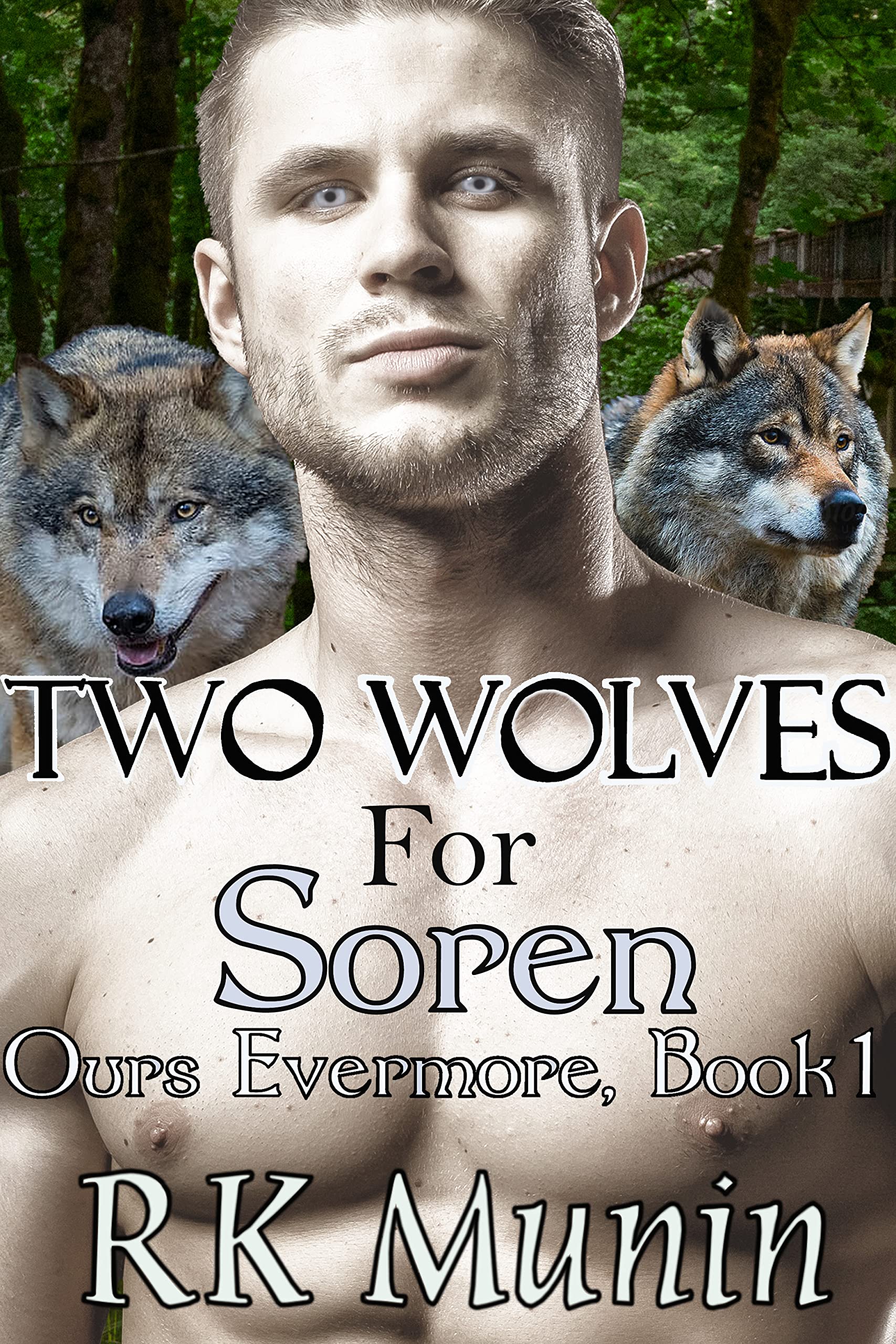 Two-Wolves-for-Soren-by-RK-Munin-PDF-EPUB.jpg