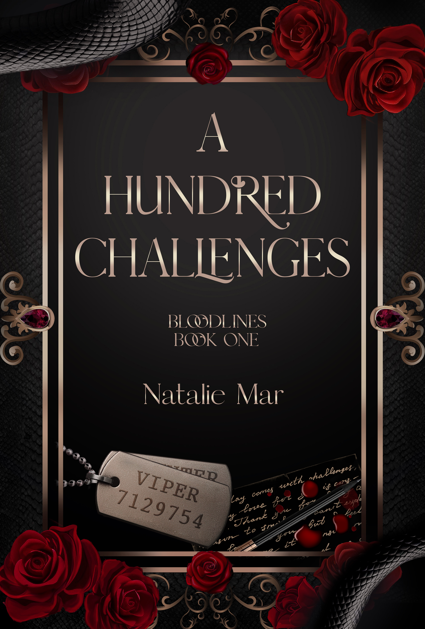 A-Hundred-Challenges-by-Natalie-Mar-PDF-EPUB.jpg