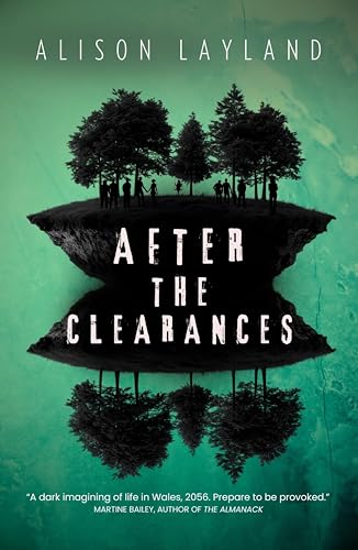 After-The-Clearances-by-Alison-Layland-PDF-EPUB.jpg