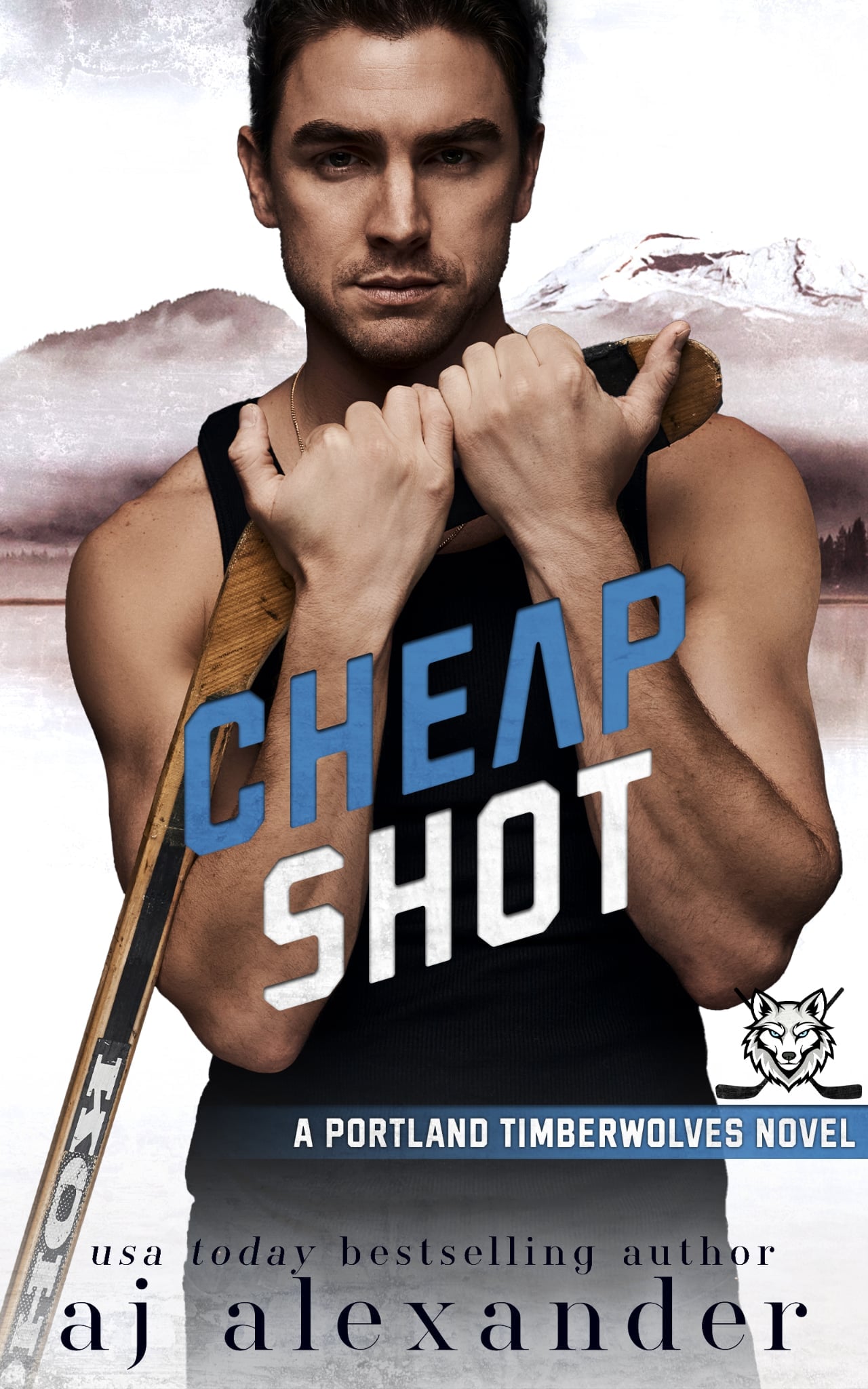 Cheap-Shot-by-AJ-Alexander-PDF-EPUB.jpg