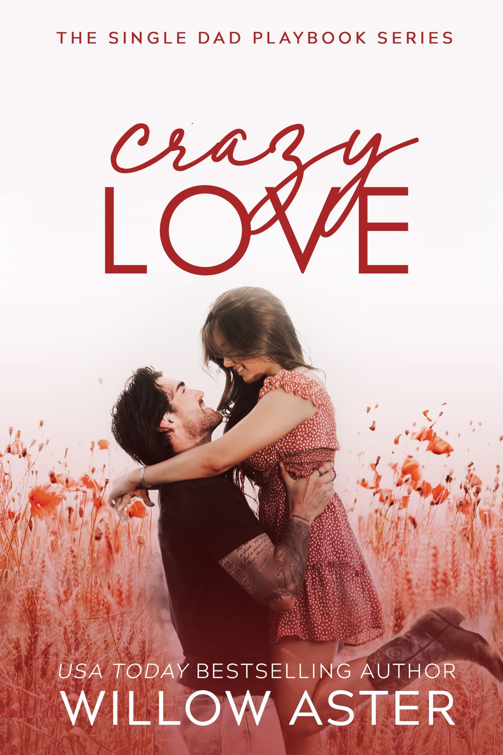 Crazy-Love-by-Willow-Aster-PDF-EPUB.jpg