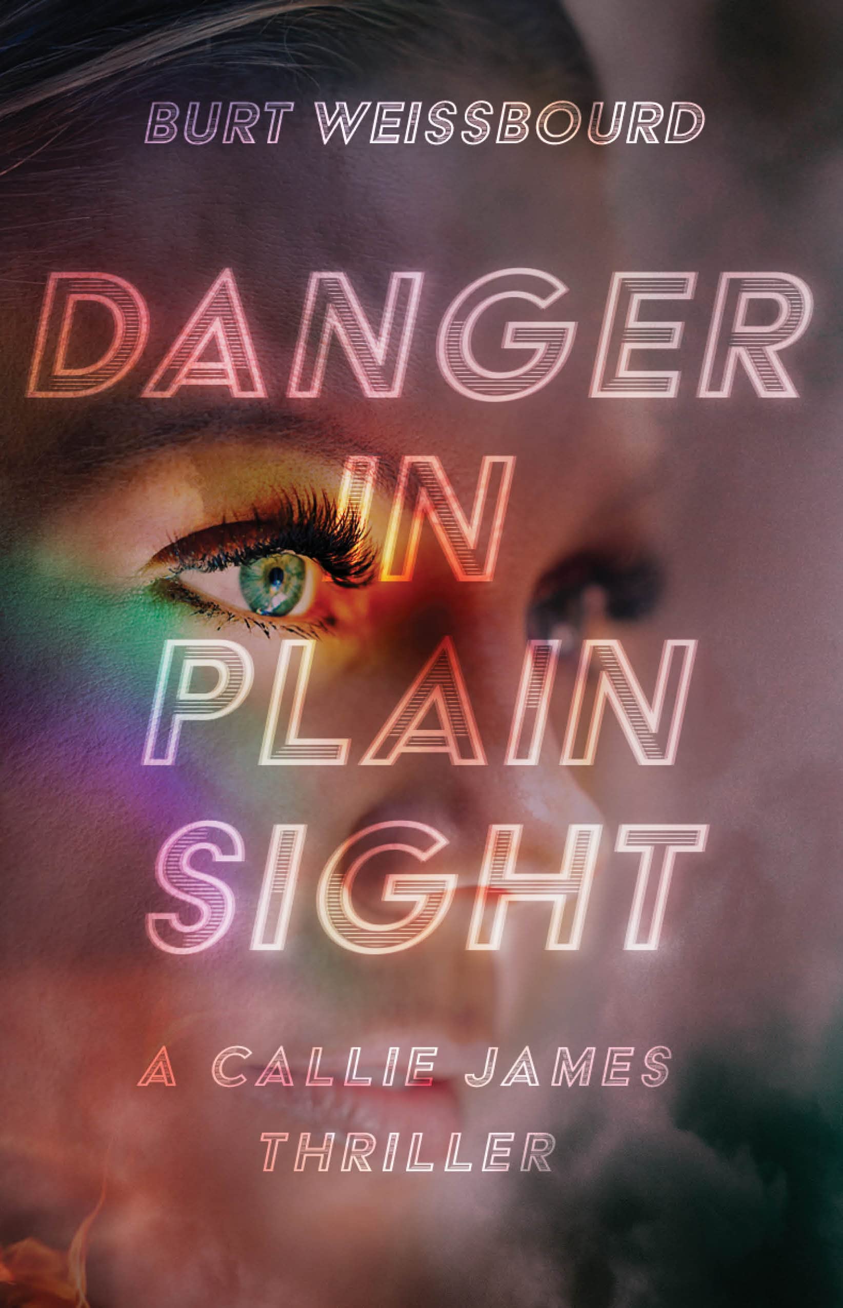 Danger-in-Plain-Sight-by-Burt-Weissbourd-PDF-EPUB.jpg