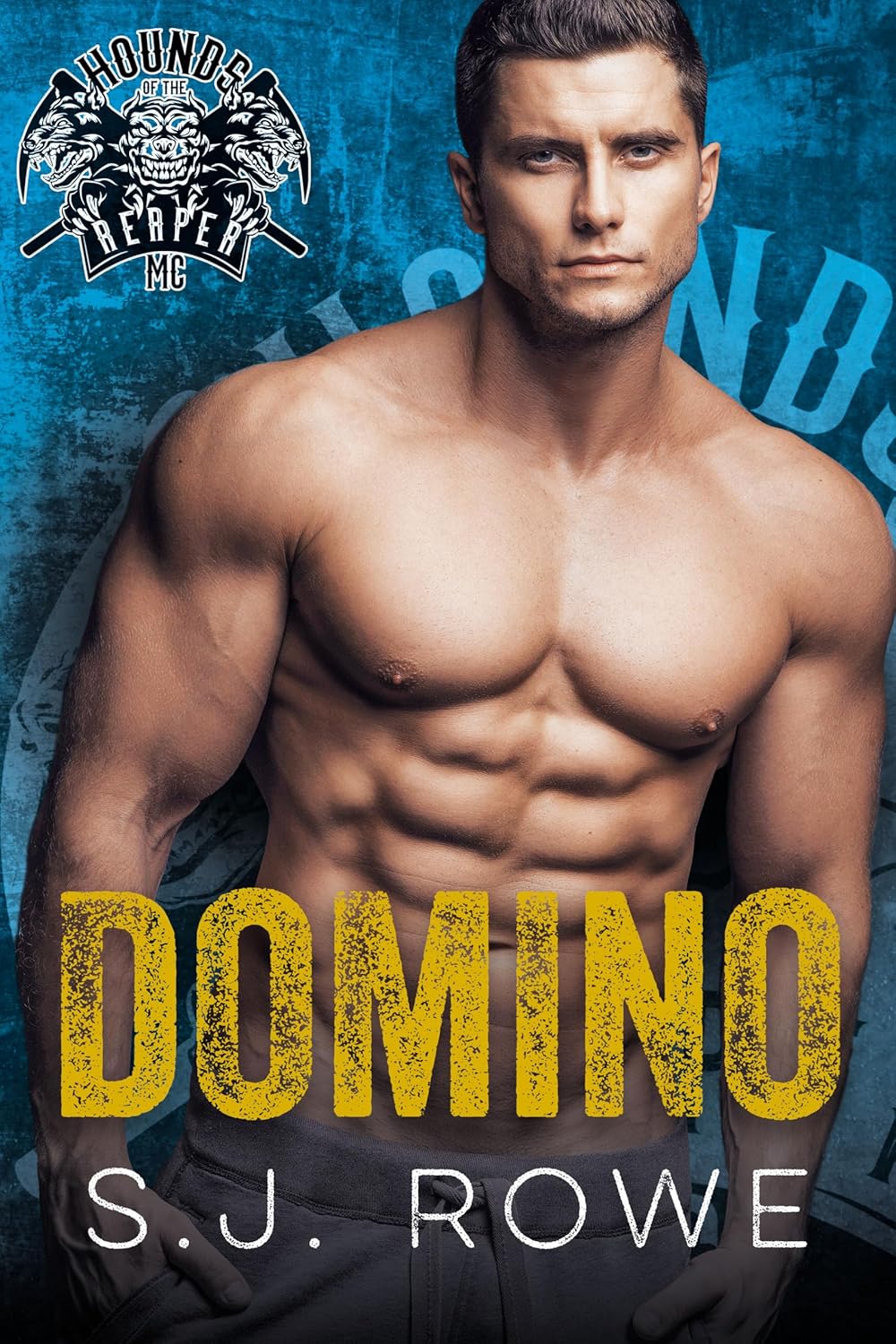 Domino-by-SJ-Rowe-PDF-EPUB.jpg