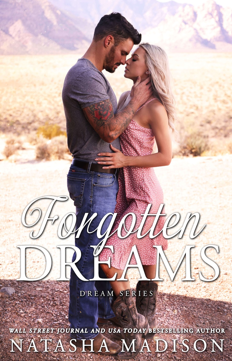 Forgotten-Dreams-by-Natasha-Madison-PDF-EPUB.jpg