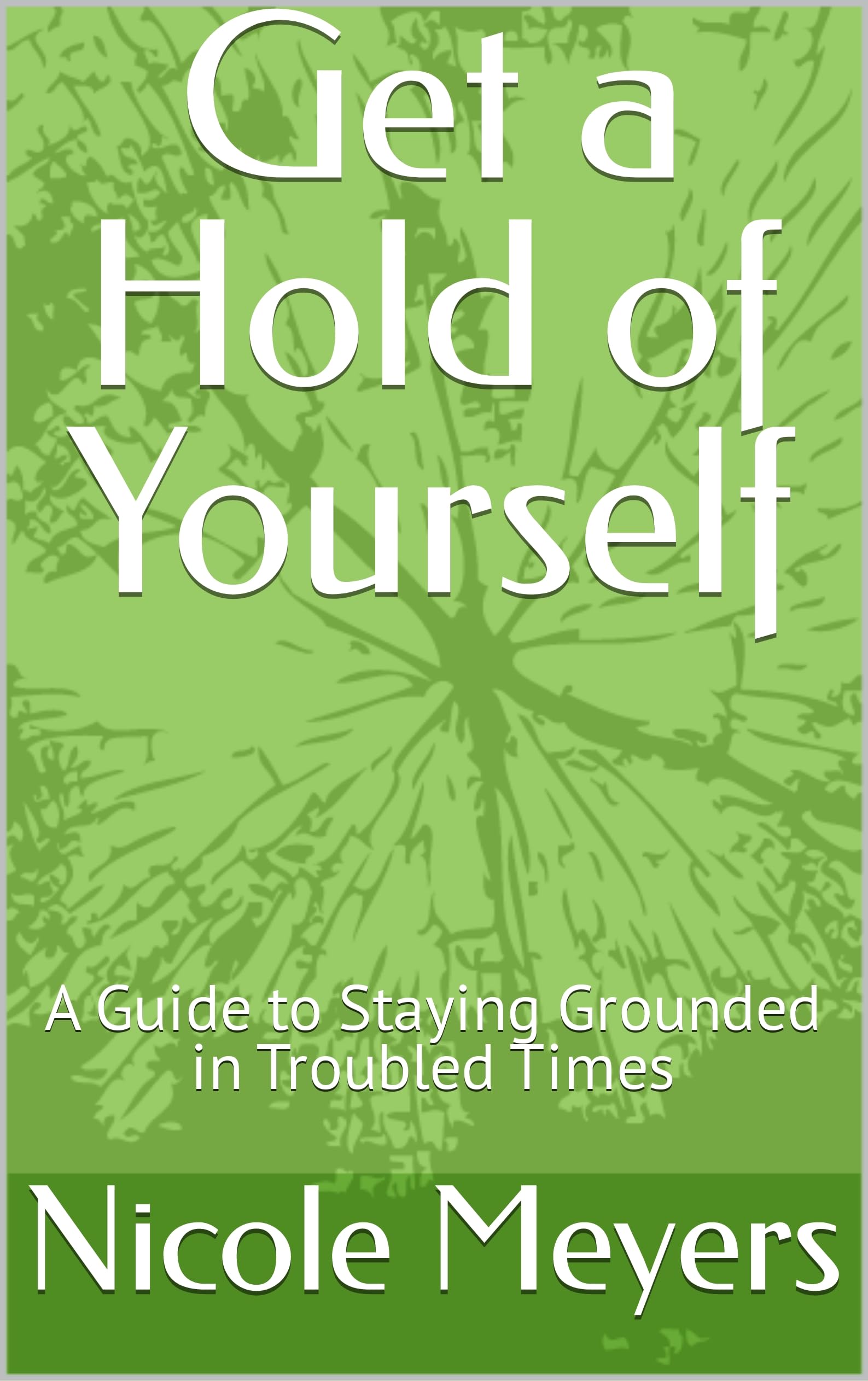 Get-a-Hold-of-Yourself--A-Guide-to-Staying-Grounded-in-Troubled-Times-by-Nicole-Meyers-PDF-EPUB.jpg