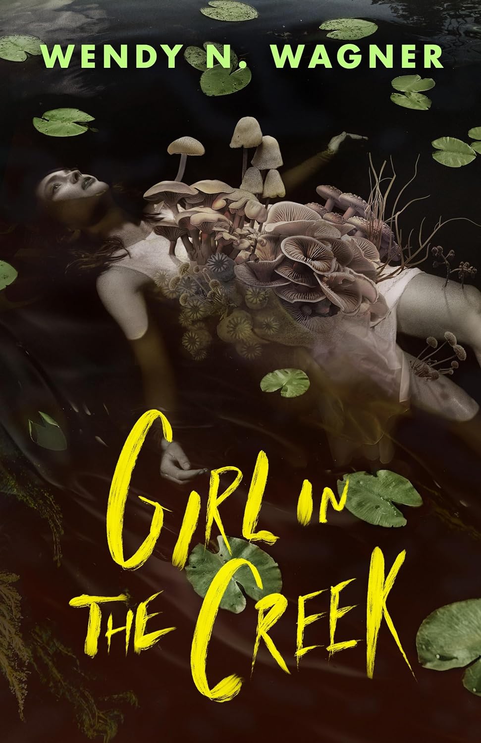Girl-in-the-Creek-by-Wendy-N-Wagner-PDF-EPUB.jpg