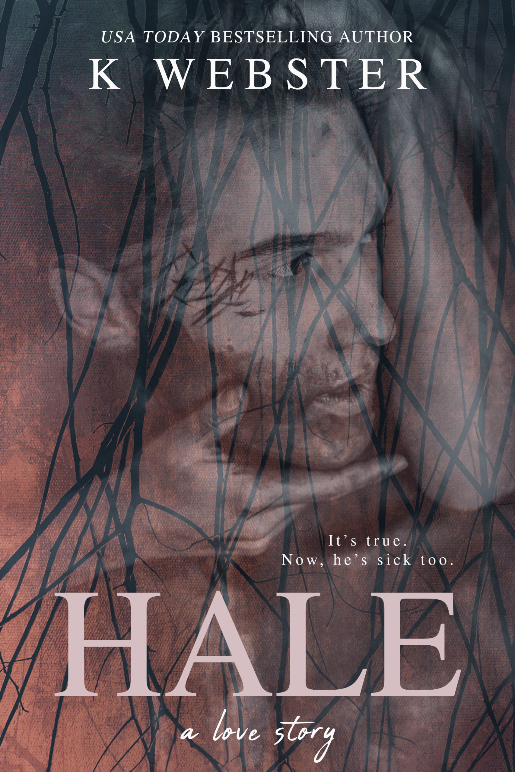 Hale-by-K-Webster-PDF-EPUB.jpg