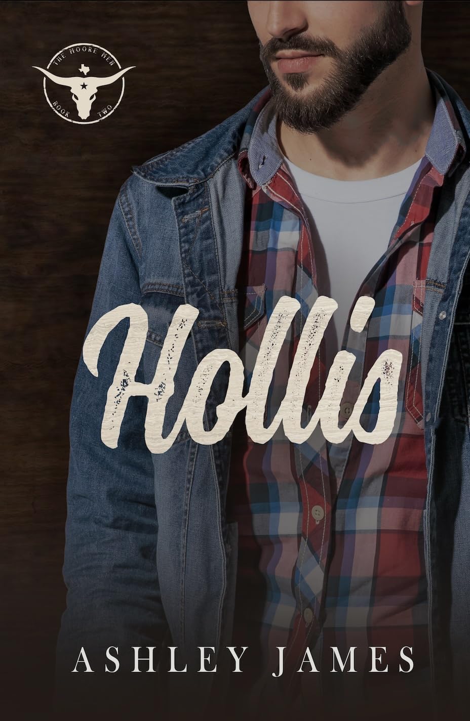 Hollis-by-Ashley-James-PDF-EPUB.jpg