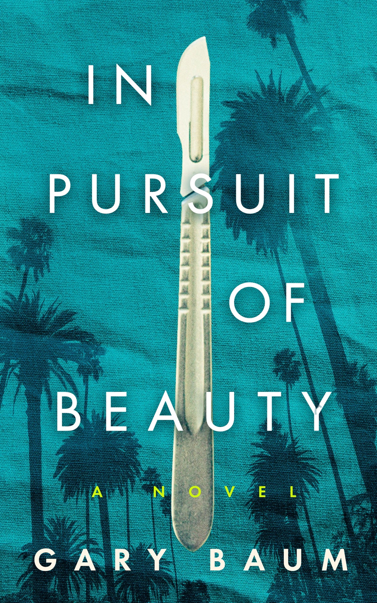 In-Pursuit-of-Beauty--A-Novel-by-Gary-Baum-PDF-EPUB.jpg