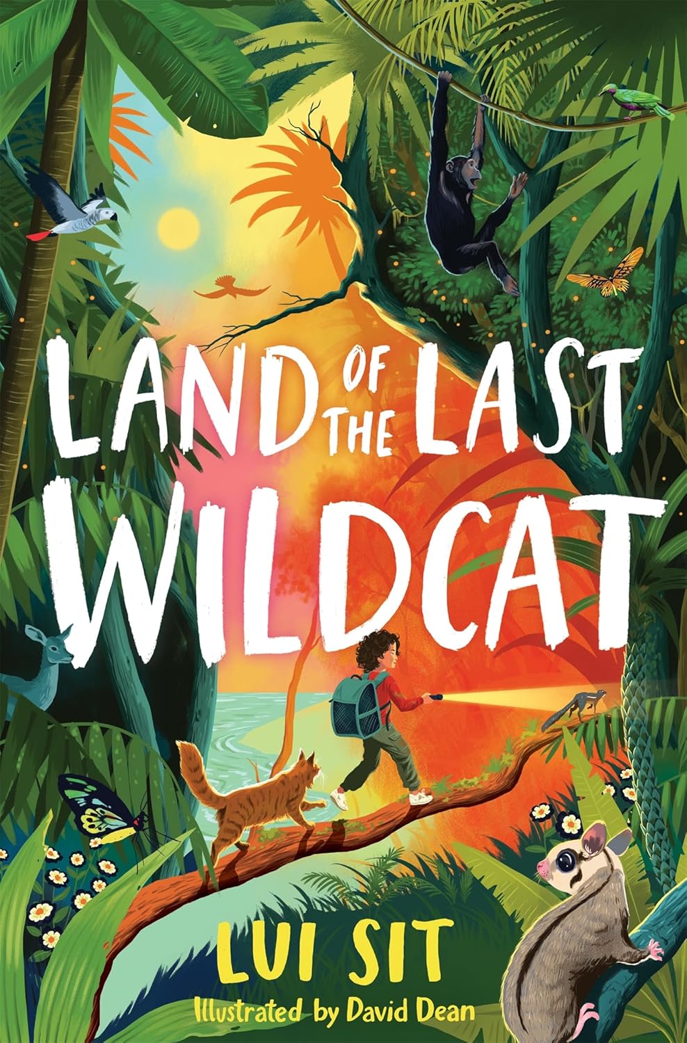 Land-of-the-Last-Wildcat-by-Lui-Sit-PDF-EPUB.jpg