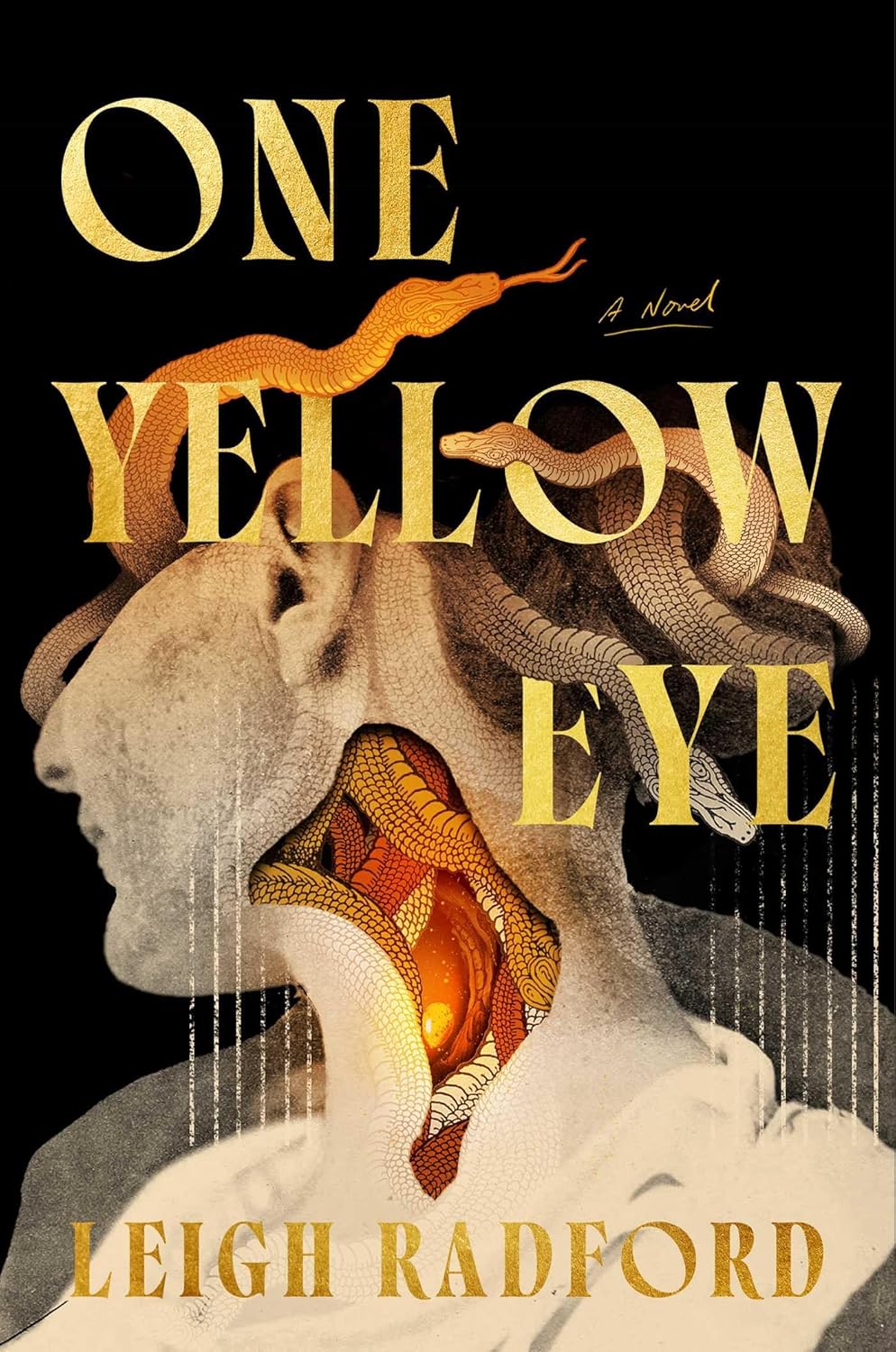 One-Yellow-Eye-by-Leigh-Radford-PDF-EPUB.jpg