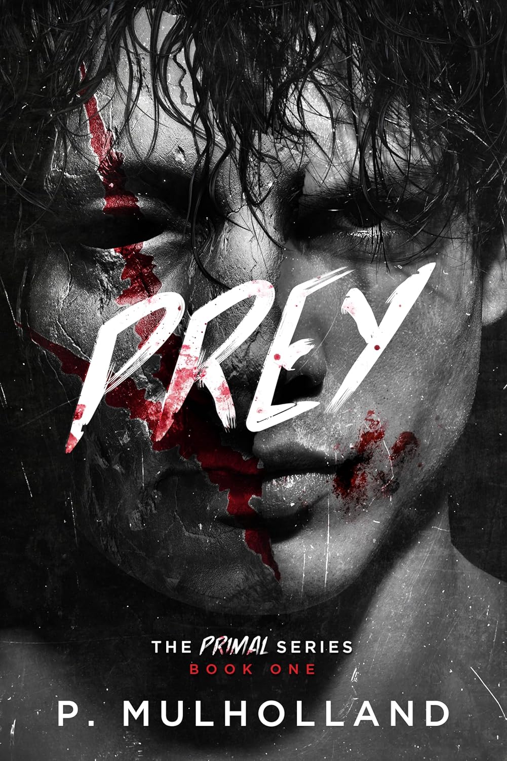 Prey-by-P-Mulholland-PDF-EPUB.jpg