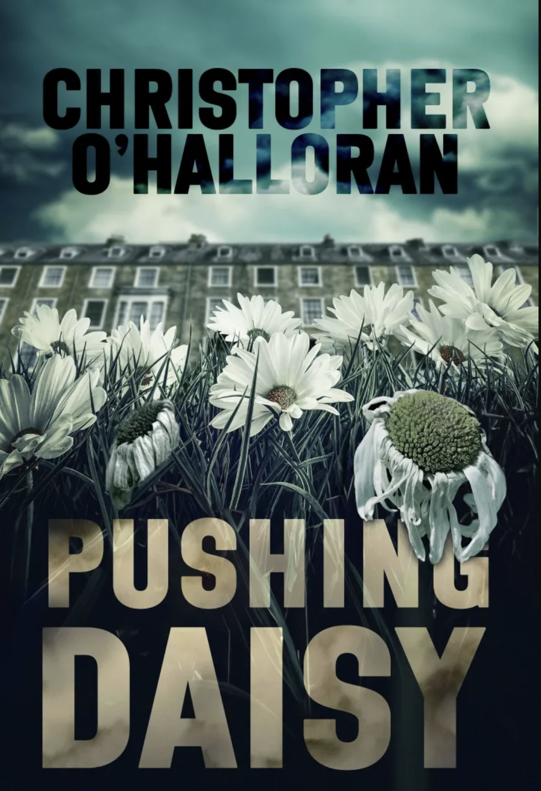 Pushing-Daisy-by-Christopher-O'Halloran-PDF-EPUB.jpg