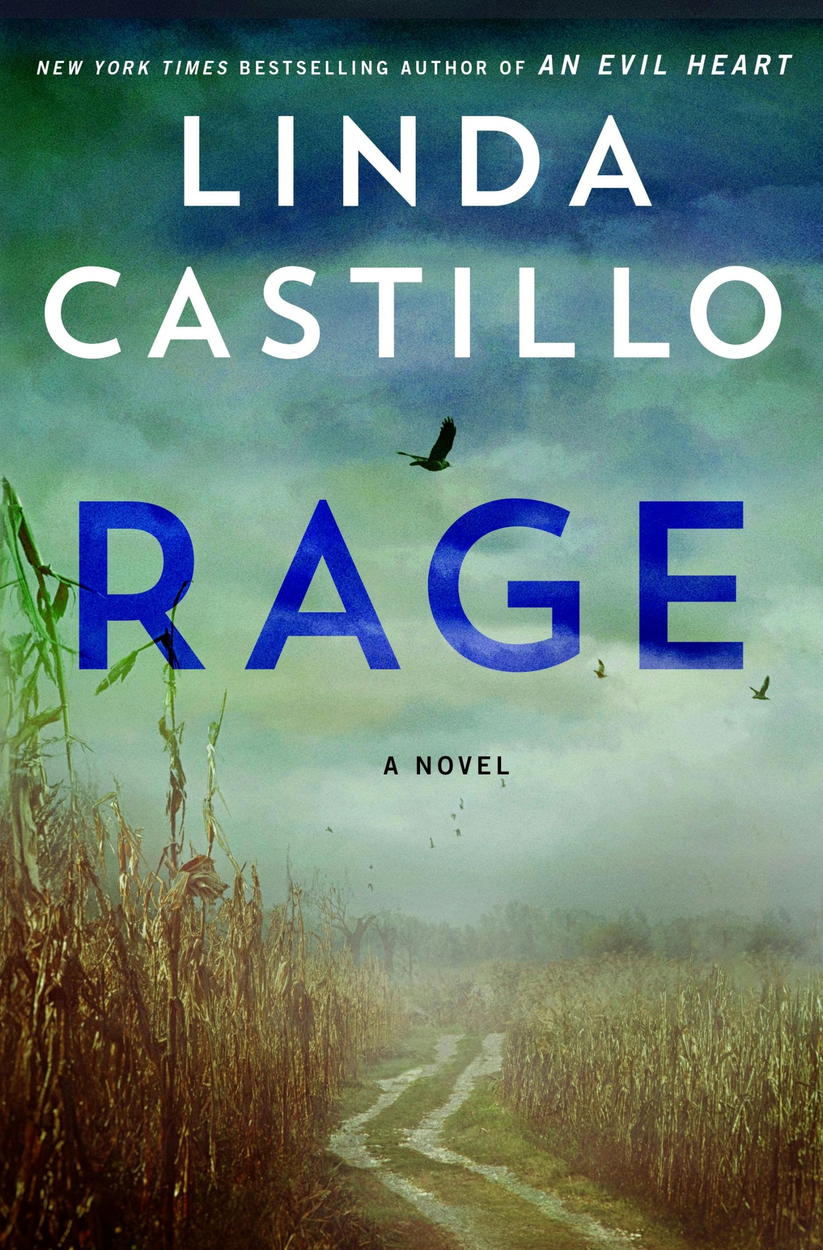 Rage-by-Linda-Castillo-PDF-EPUB.jpg