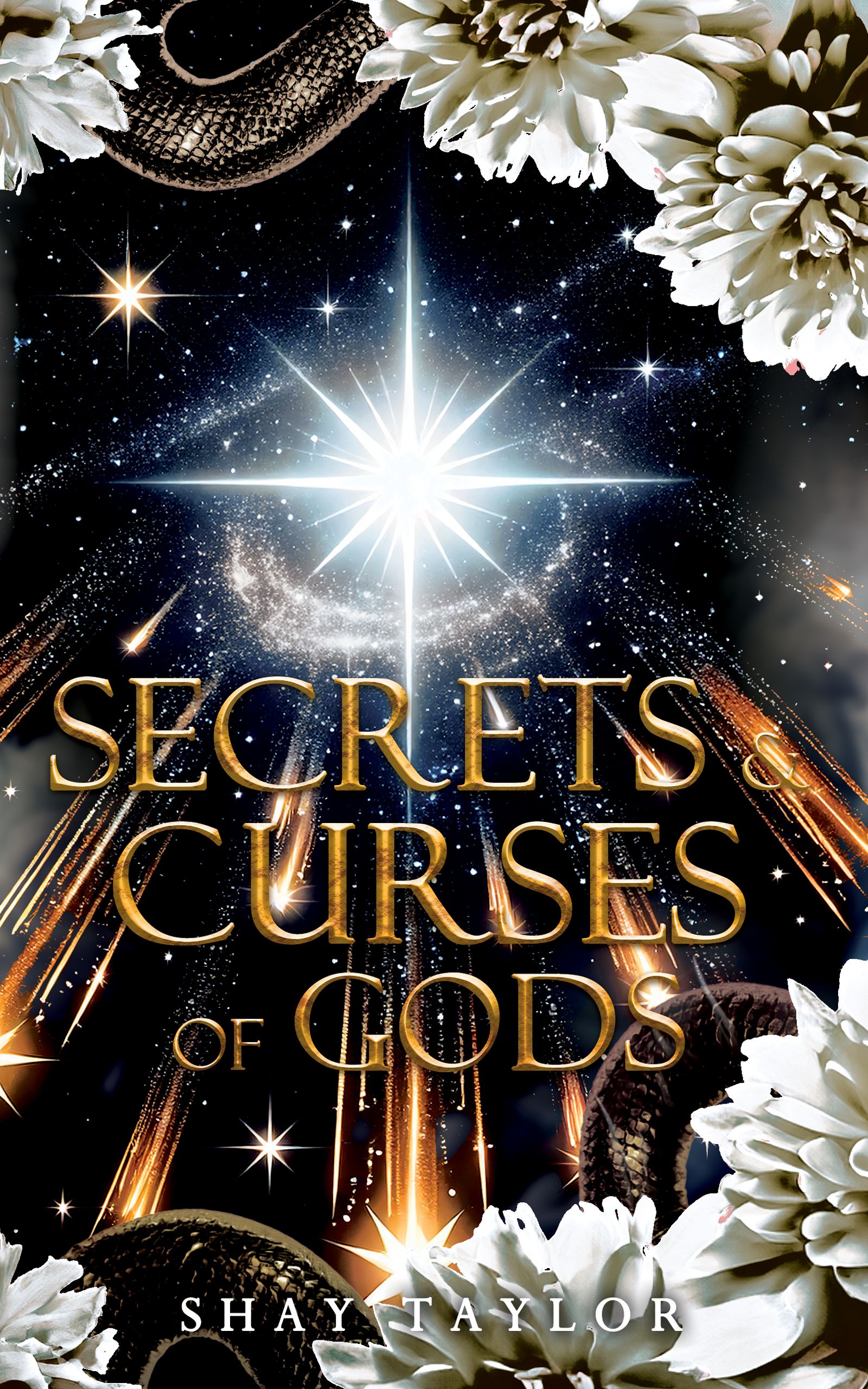 Secrets-&-Curses-Of-Gods-by-Shay-Taylor-PDF-EPUB.jpg