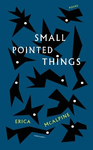 Small-Pointed-Things-by-Erica-McAlpine-PDF-EPUB.jpg