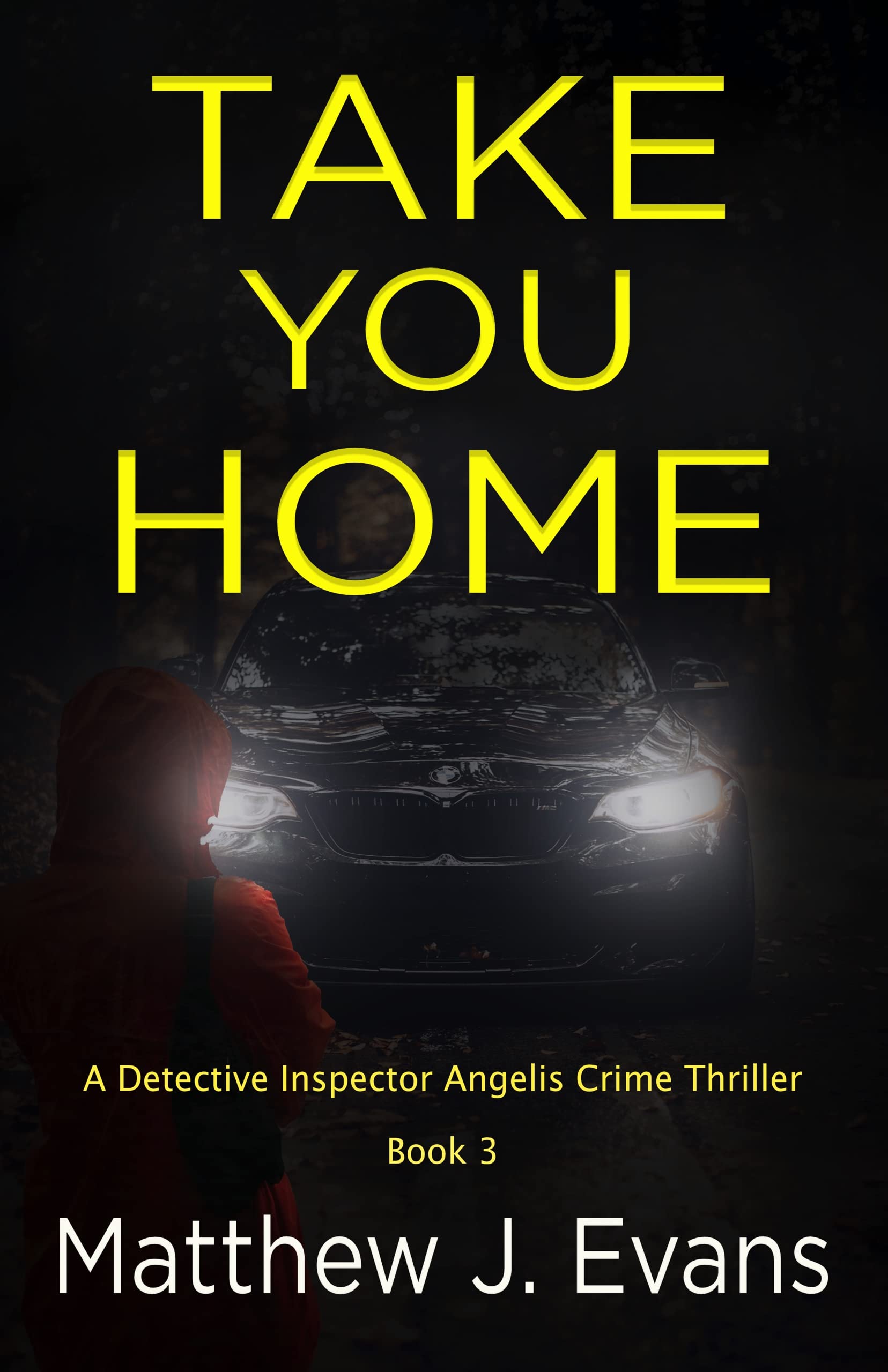 Take-You-Home-by-Matthew-J-Evans-PDF-EPUB.jpg