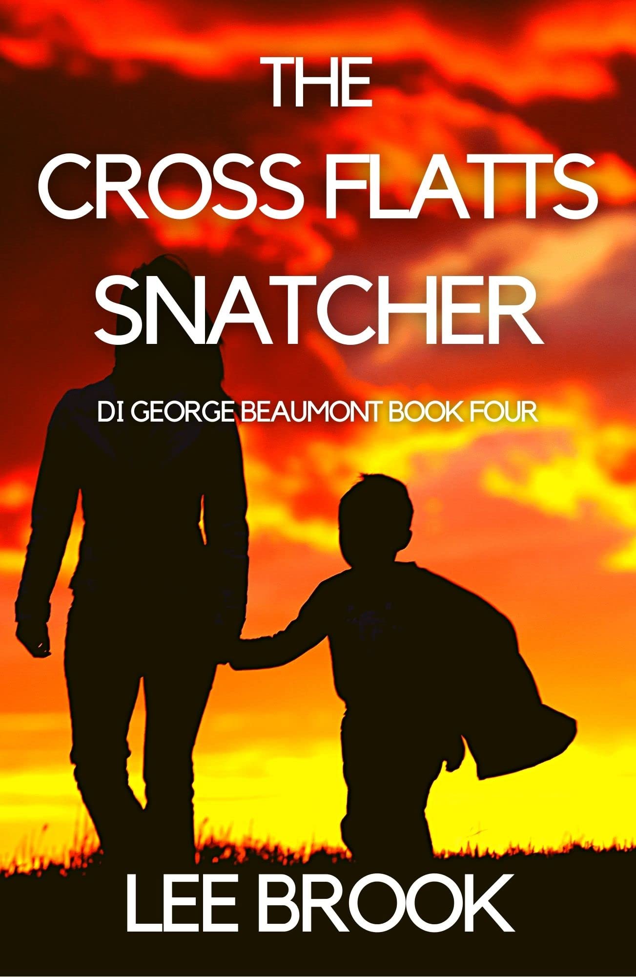 The-Cross-Flatts-Snatcher-by-Lee-Brook-PDF-EPUB.jpg