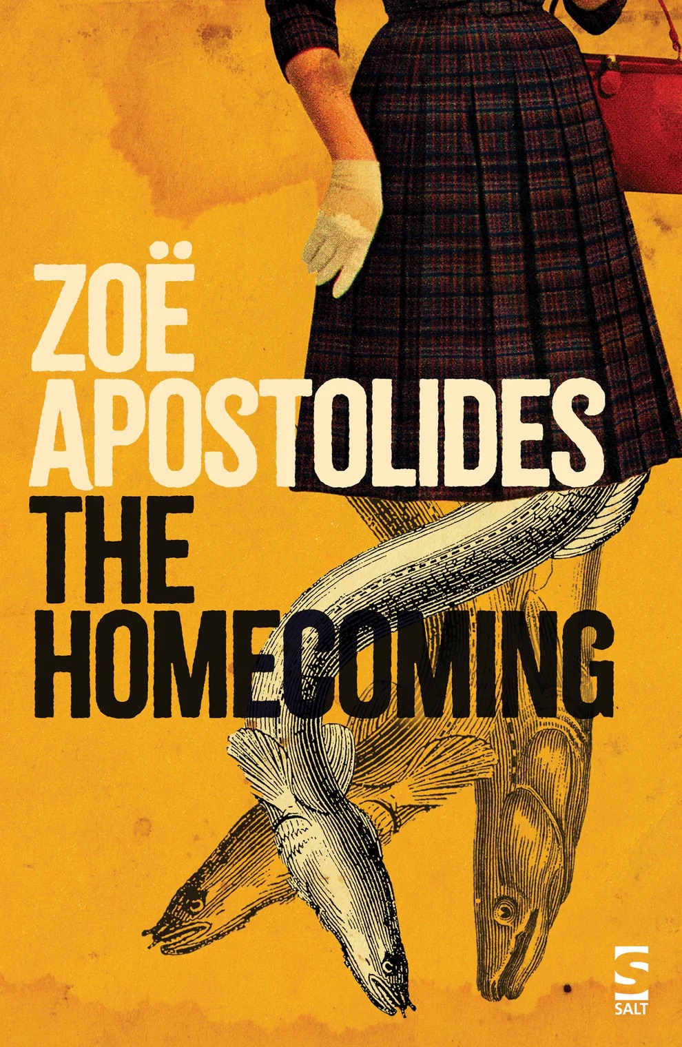 The-Homecoming-by-Zoë-Apostolides-PDF-EPUB.jpg