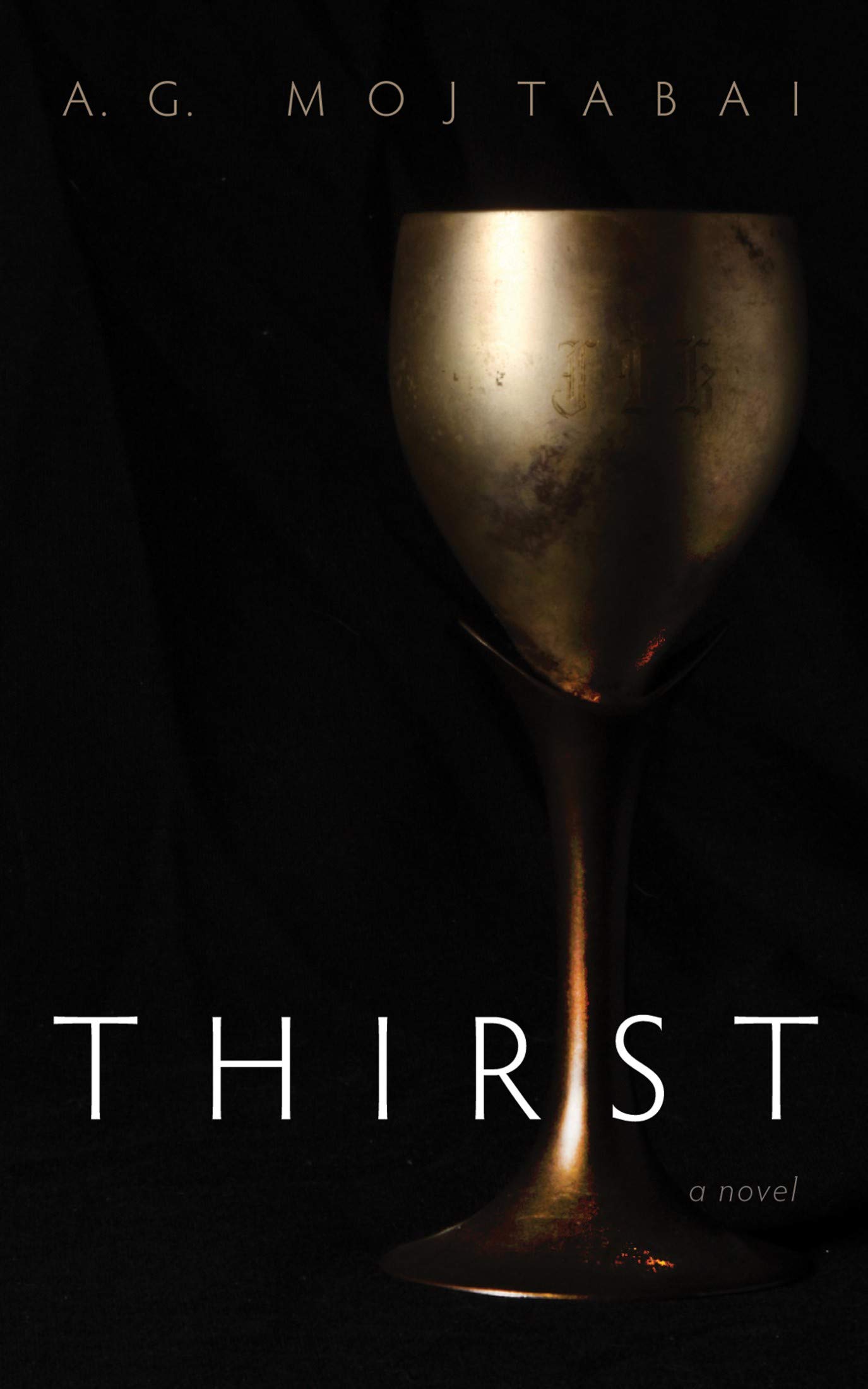 Thirst--A-Novel-by-AG-Mojtabai-PDF-EPUB.jpg