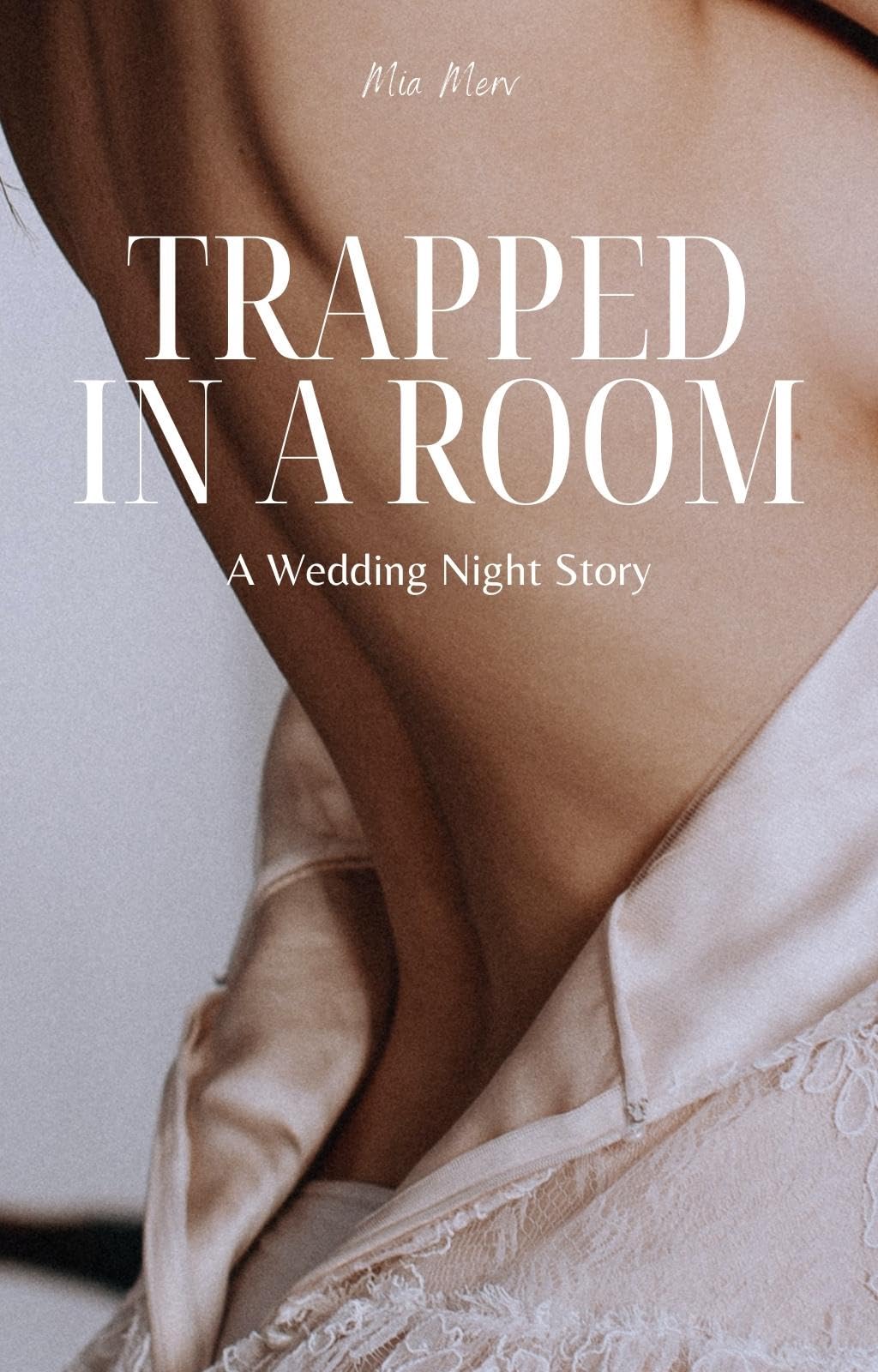 Trapped-in-a-Room--A-Wedding-Night-Story-by-Mia-Merv-PDF-EPUB.jpg