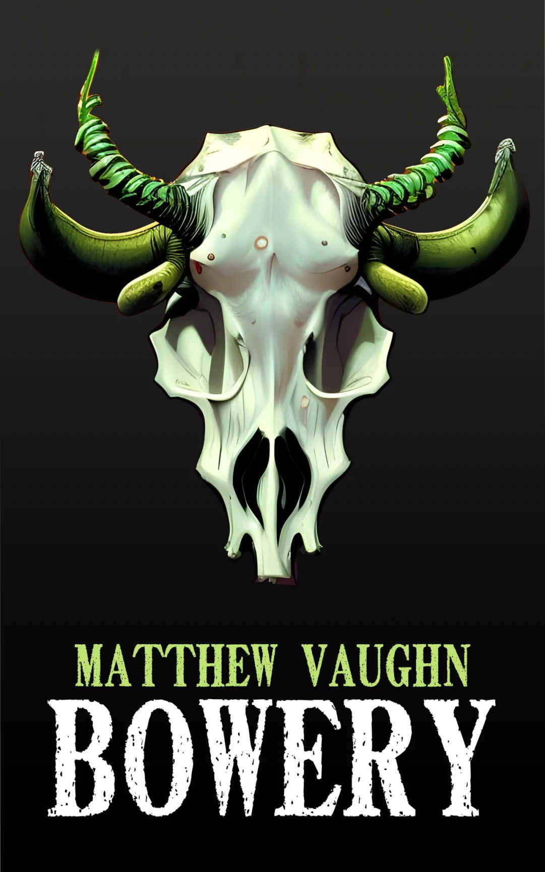 bowery-by-Matthew-Vaughn-PDF-EPUB.jpg