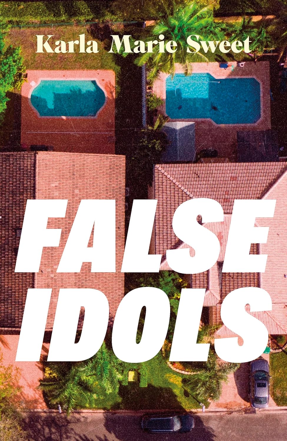 False-Idols-by-Karla-Marie-Sweet-PDF-EPUB.jpg