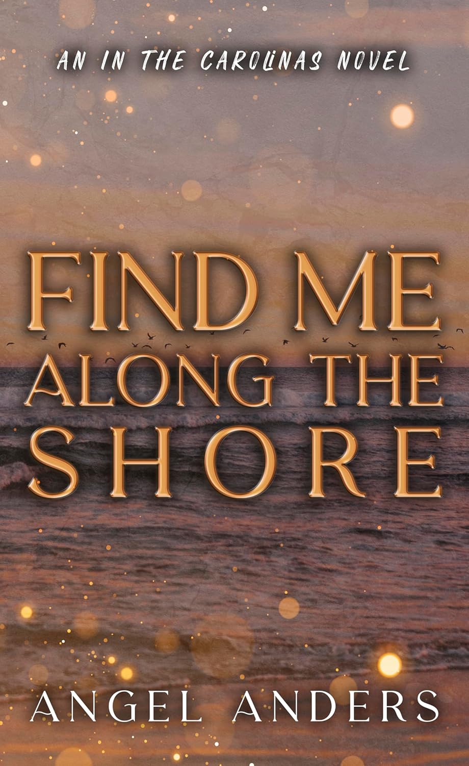 Find-Me-Along-the-Shore-by-Angel-Anders-PDF-EPUB.jpg