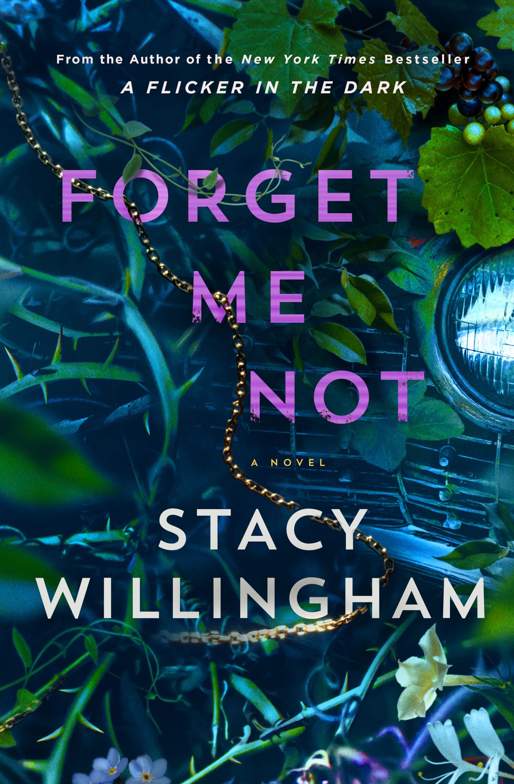 Forget-Me-Not-by-Stacy-Willingham-PDF-EPUB.jpg