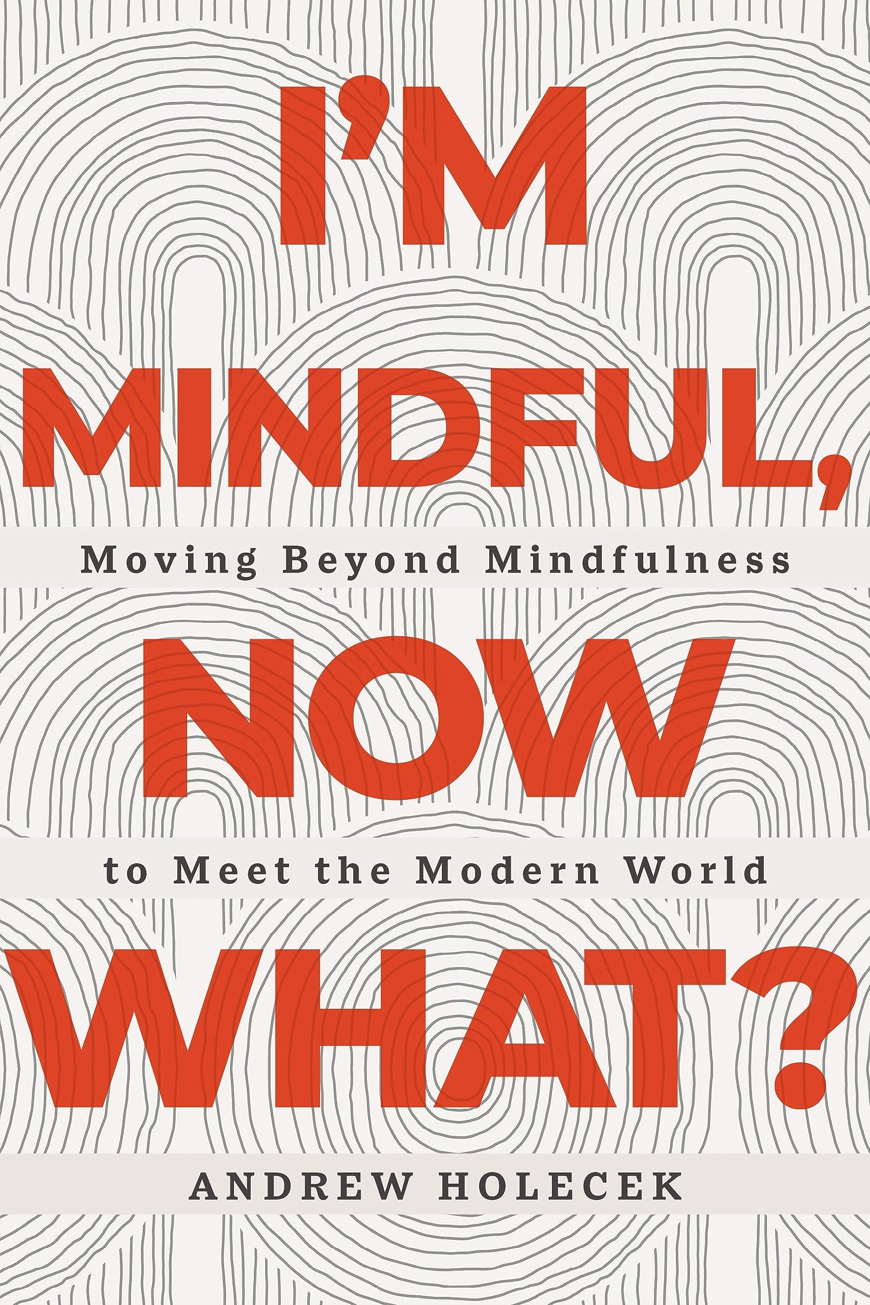 I'm-Mindful-Now-What---Moving-Beyond-Mindfulness-to-Meet-the-Modern-World-by-Andrew-Holecek-PDF-EPUB.jpg