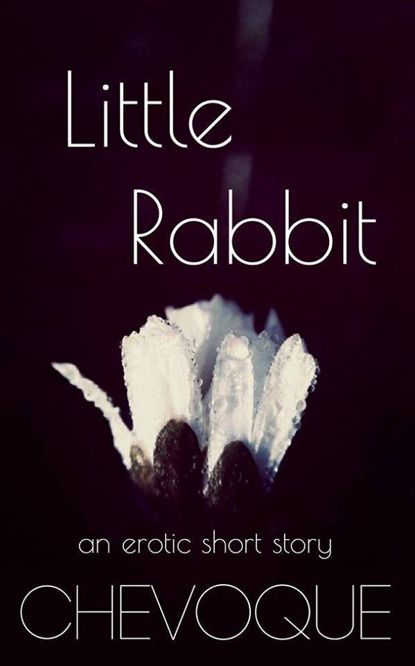 Little-Rabbit-by-Chevoque-PDF-EPUB.jpg
