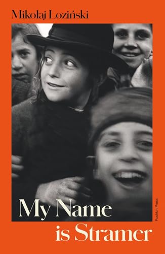 My-Name-is-Stramer-by-Mikołaj-Łoziński-PDF-EPUB.jpg