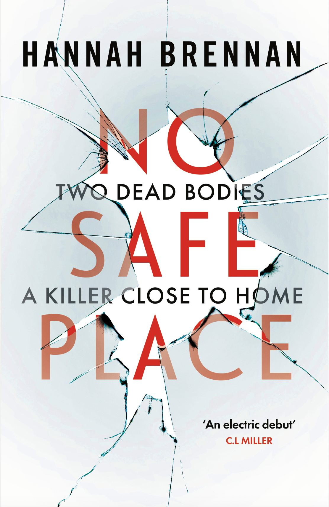No-Safe-Place-by-Hannah-Brennan-PDF-EPUB.jpg