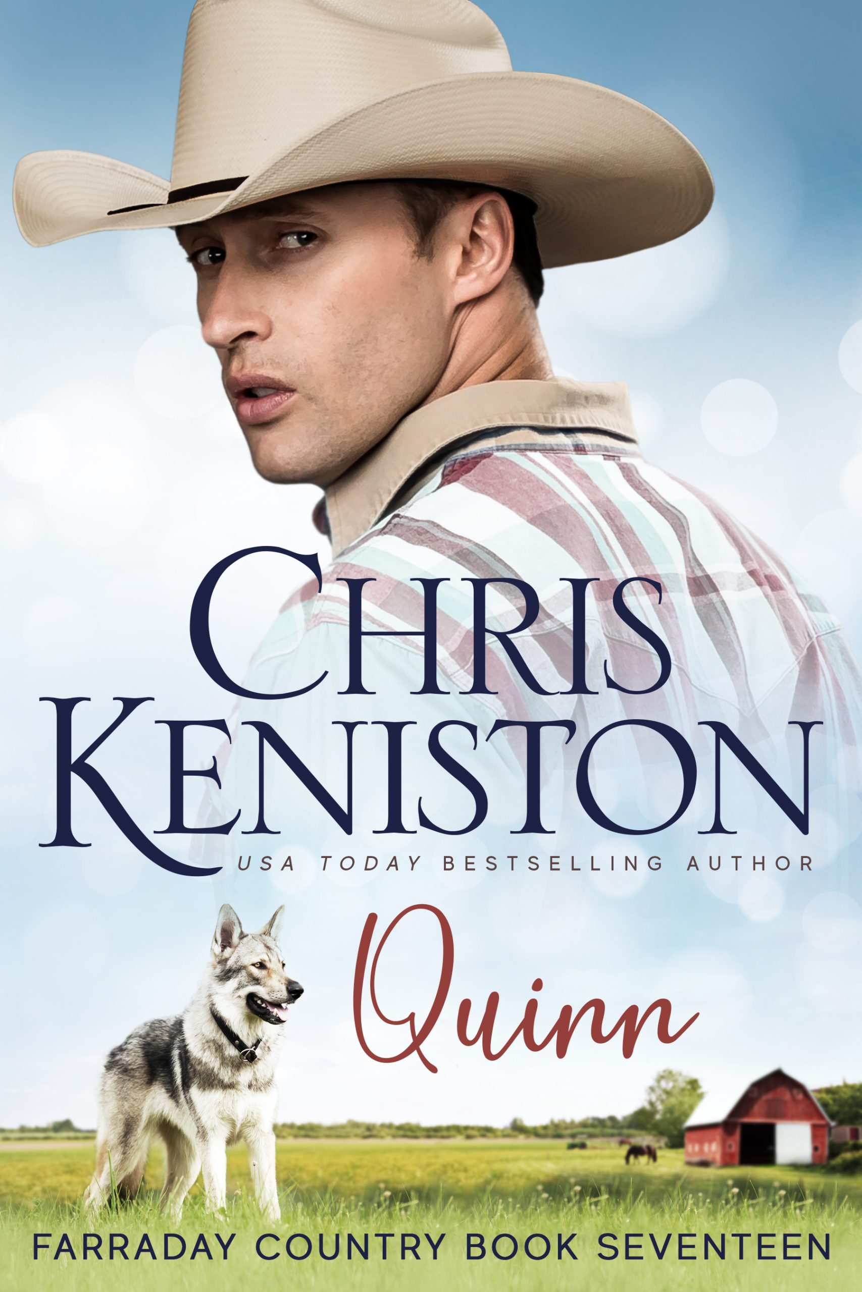 Quinn-by-Chris-Keniston-PDF-EPUB.jpg