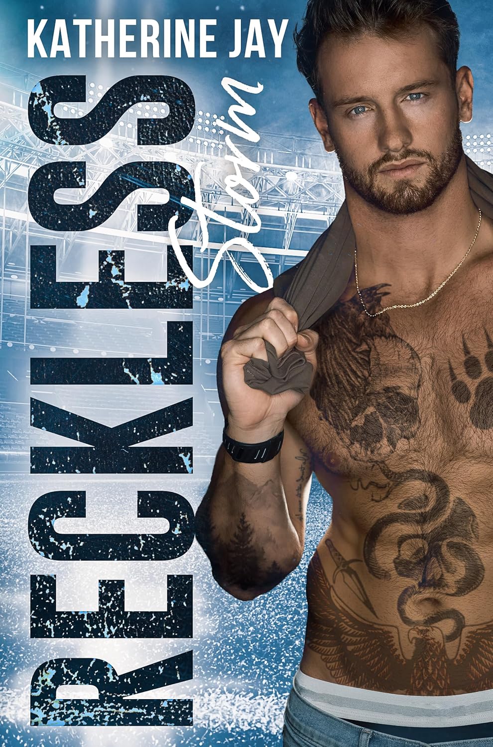 Reckless-Storm-by-Katherine-Jay-PDF-EPUB.jpg