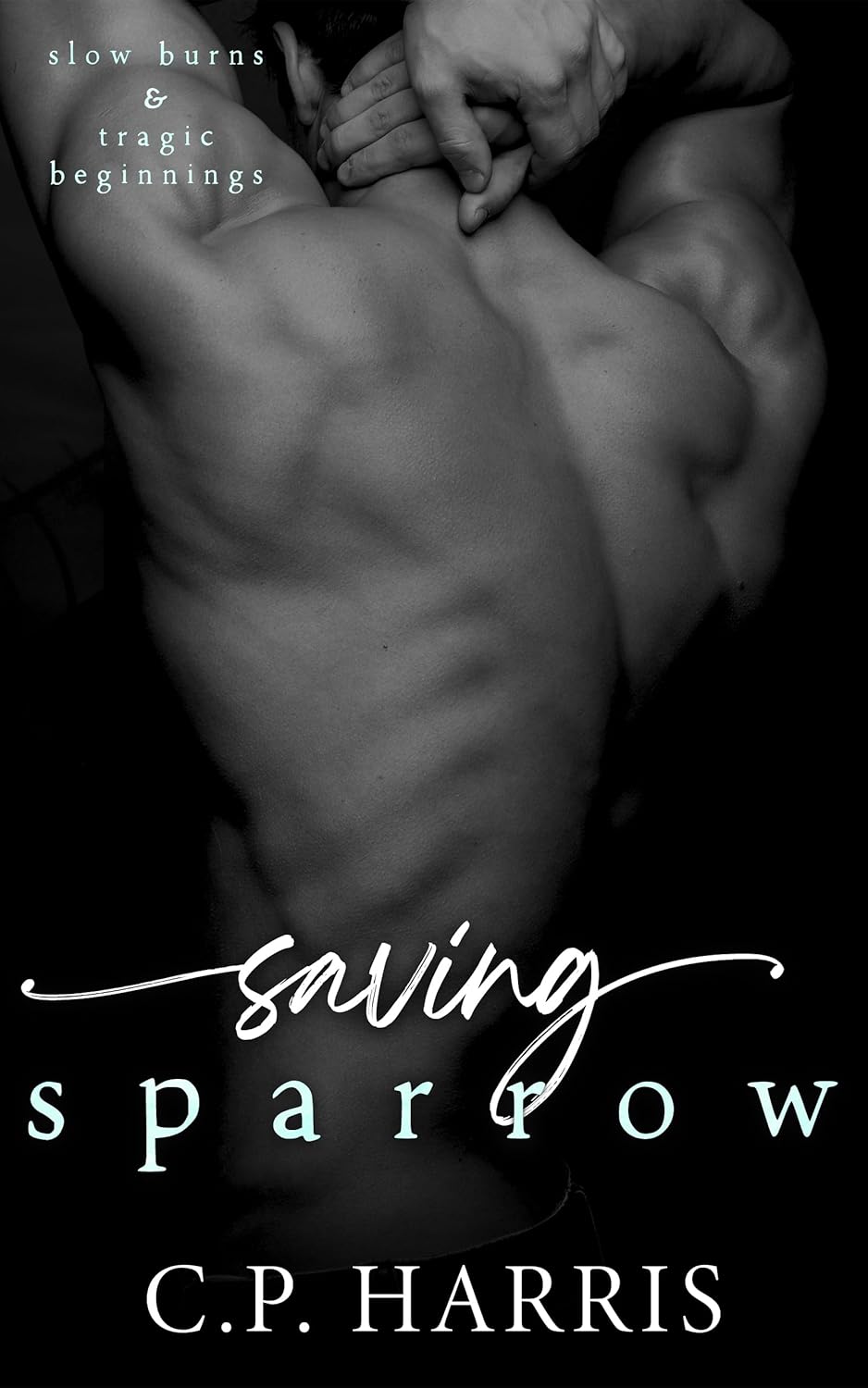 Saving-Sparrow-by-CP-Harris-PDF-EPUB.jpg