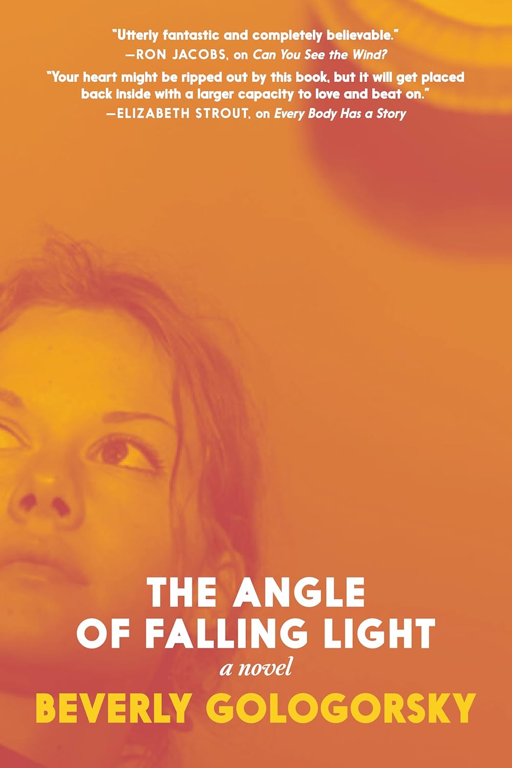 The-Angle-of-Falling-Light-by-Beverly-Gologorsky-PDF-EPUB.jpg