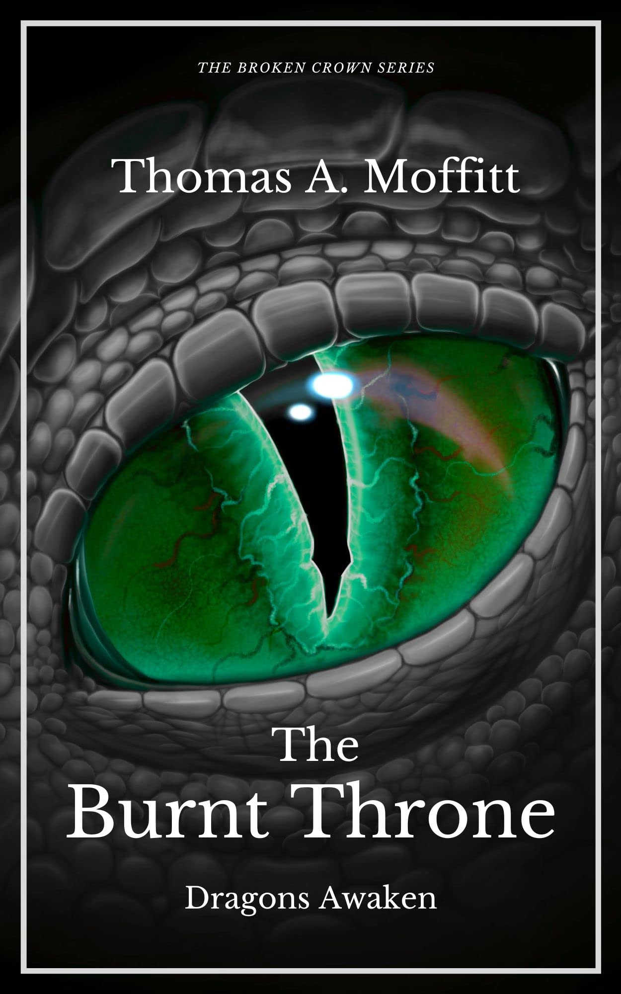 The-Burnt-Throne--Dragons-Awaken-by-Thomas-A-Moffitt-PDF-EPUB.jpg