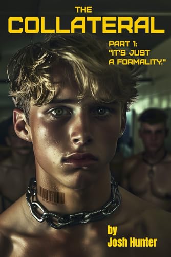 The-Collateral----Part-1---It's-just-a-formality---dystopian-straight-to-gay-slave-MM-dark-r-by-Josh-Hunter-PDF-EPUB.jpg