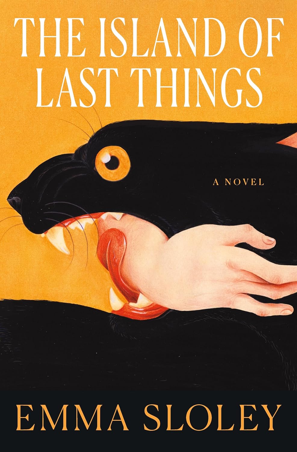 The-Island-of-Last-Things-by-Emma-Sloley-PDF-EPUB.jpg