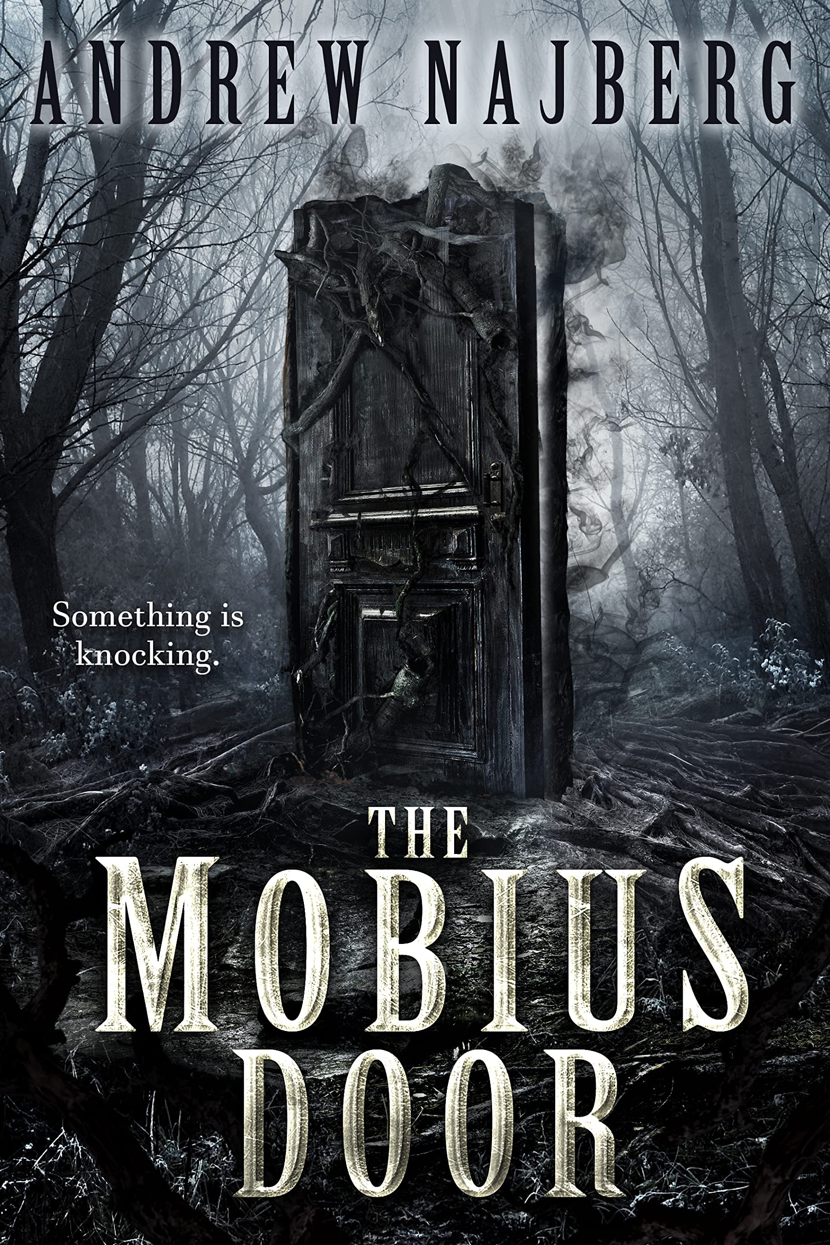 The-Mobius-Door-by-Andrew-Najberg-PDF-EPUB.jpg